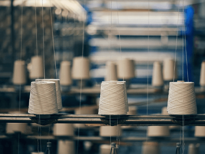 Customization Section